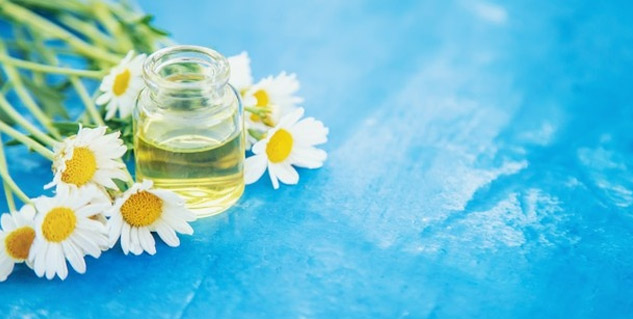Inside1_Chamomileoilbenefits