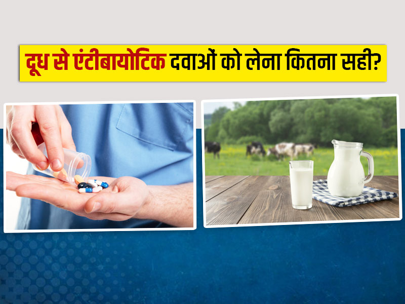 एंटीबायोटिक दवाओं को दूध के साथ खाना कितना सही? जानें डॉक्टर से