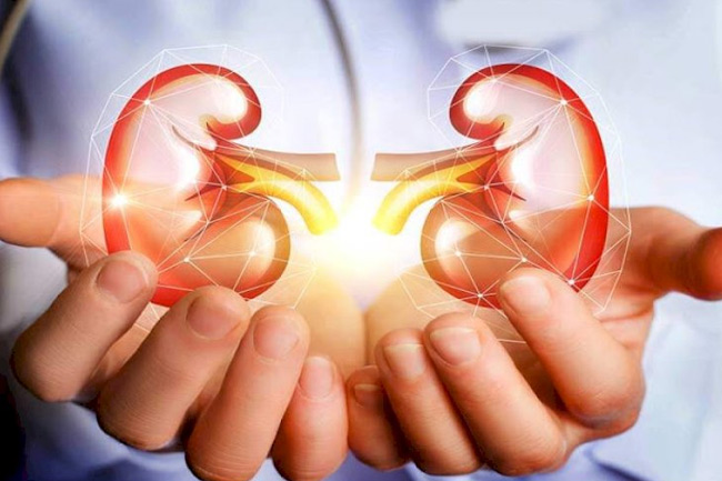 घर पर ऐसे करें किडनी को साफ (Kidney Cleanse at Home)
