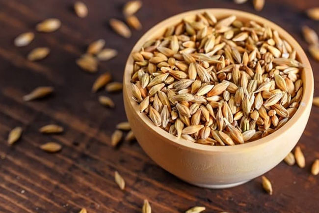 5. जौ (Barley for Kidney Cleanse)