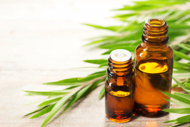 Tea tree oil