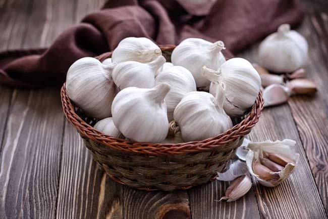 लहसुन में है आयुर्वेदिक गुण