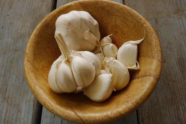 लहसुन (Garlic)