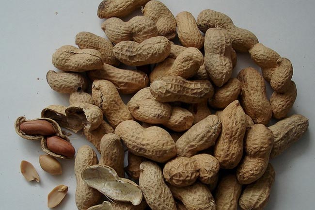 मूंगफली (Peanuts)