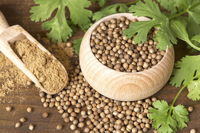 3. धनिया के बीज (Coriander Seeds)