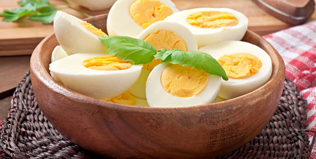 egg
