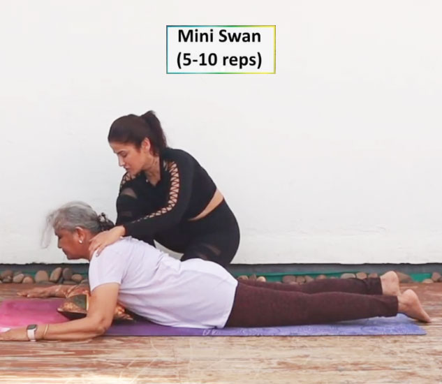 inside_miniswam