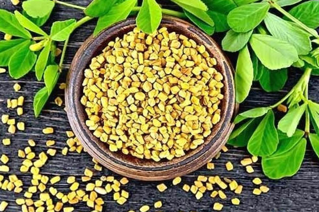 1. मेथी के बीज (Fenugreek Seeds to Cure Vaginal Dryness)