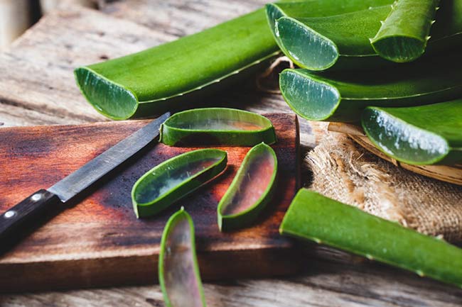 एलोवेरा (Aloe vera)