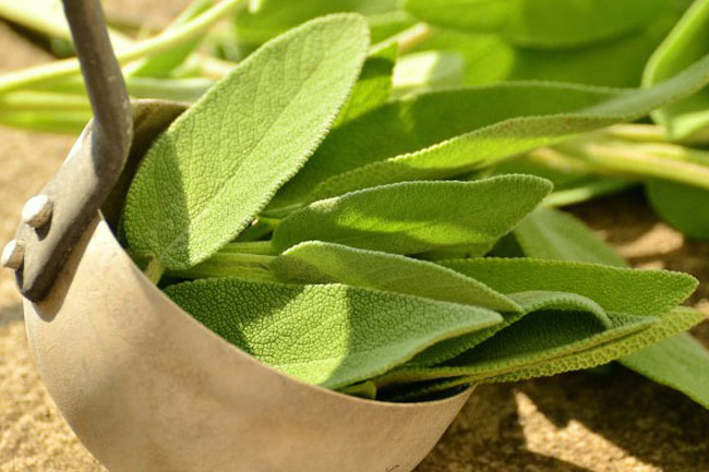 6. पैरों में फंगल इंफेक्शन होने पर इस्तेमाल करें ग्रीन टी की पत्तियां (Use green tea to cure Athlete's foot)