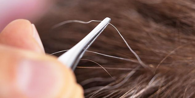 body-parts-where-not-to-pluck-hair