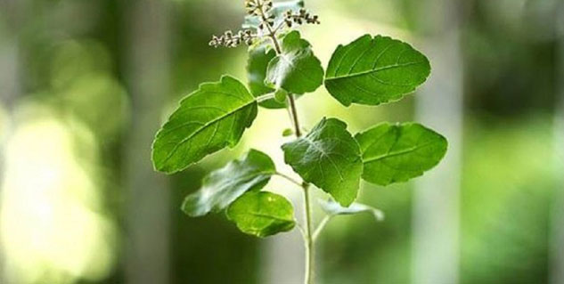 home-remedies-to-cure-eye-pain