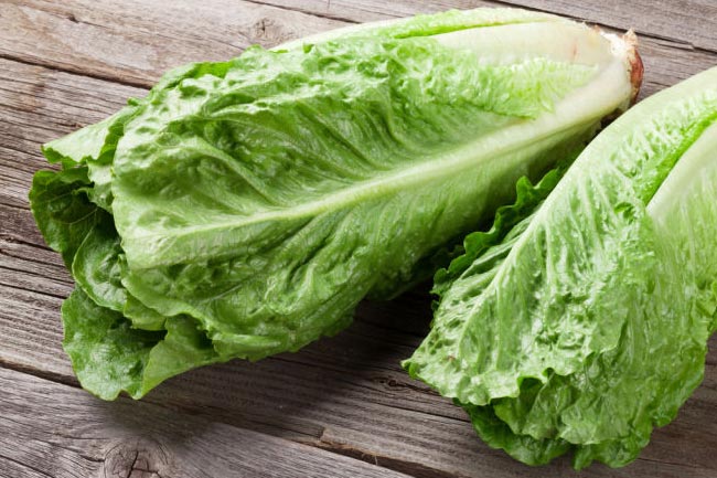 3. आर्मपिट से बदबू दूर करने के लिए इस्तेमाल करें सलाद पत्ता या लेटस (Lettuce plant leaf)