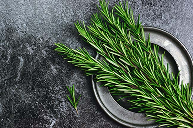 5. रोज़मरी प्लांट से दूर हो सकती है बगल की बदबू (Rosemary plant)