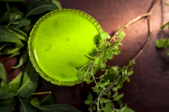 1. आर्मपिट से बदबू आने पर इस्तेमाल करें तुलसी (Tulsi plant)