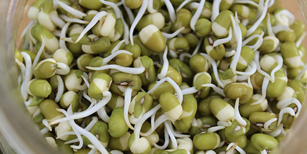 risks of eating sprouts