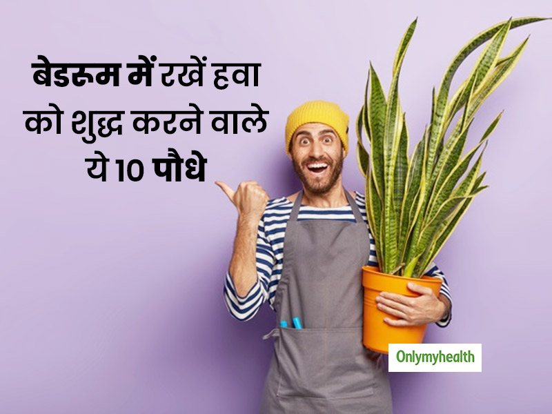 हवा को शुद्ध करने वाले ये 10 पौधे अपने बेडरूम में लगाएंगे, तो आपको मिलेंगे ढेर सारे स्वास्थ्य लाभ