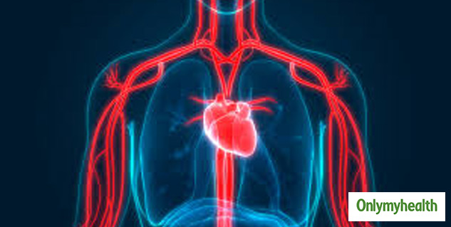 deep breathing improves blood circulation