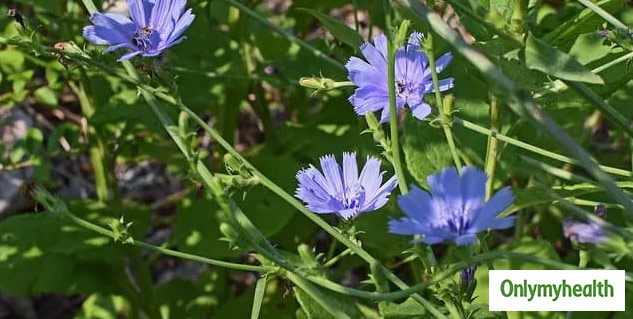 inside2_kasnibenefits