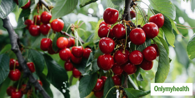 including cherry in diet