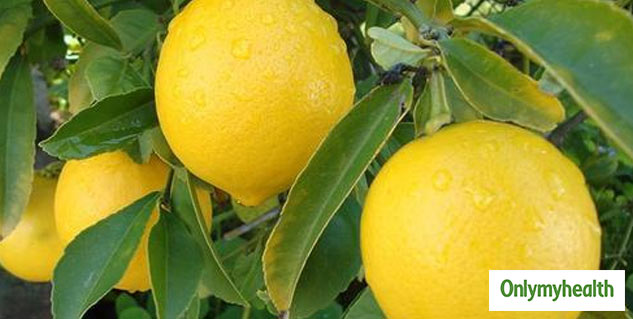 lemon for digestion and acidity