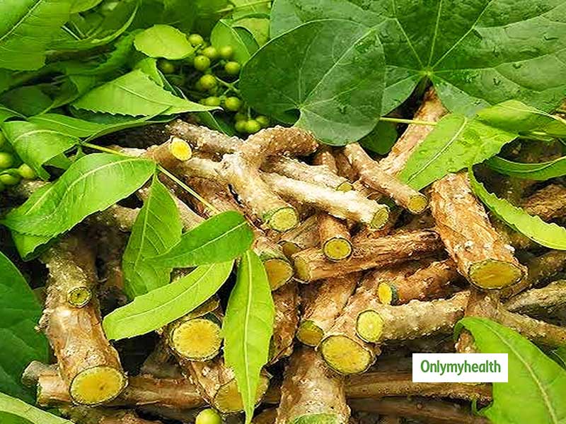 स्वाद में हल्की कड़वी जरूर हैं ये 7 चीजें लेकिन इम्यूनिटी बूस्ट करने के लिए मानी जाती हैं बेस्ट