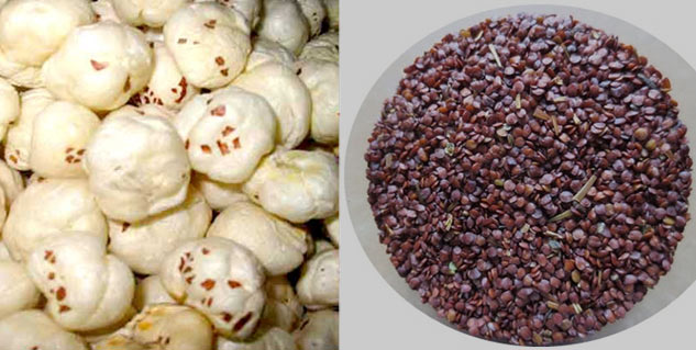 Inside1_talmkhanebenefits