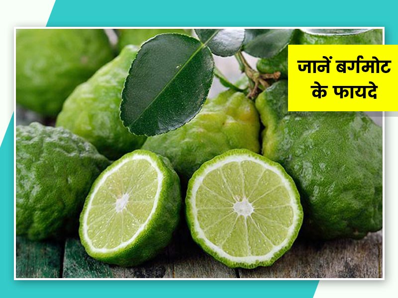 बर्गमोट के फल और तेल दोनों में होते हैं औषधीय गुण, जानें इनके प्रयोग का तरीके और फायदे