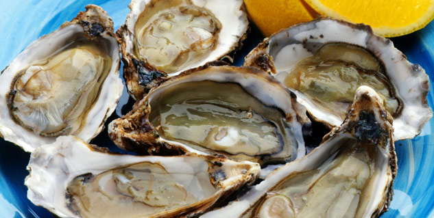 oyster
