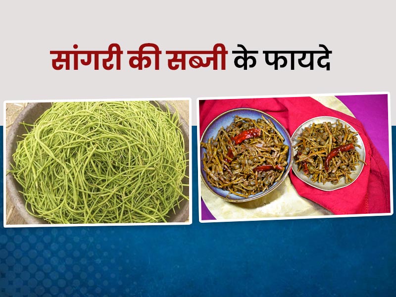 सांगरी (राजस्थानी सब्जी) से आपकी सेहत को मिलते हैं ढेर सारे फायदे, जानें इसके 5 लाभ और बनाने की रेसेपी