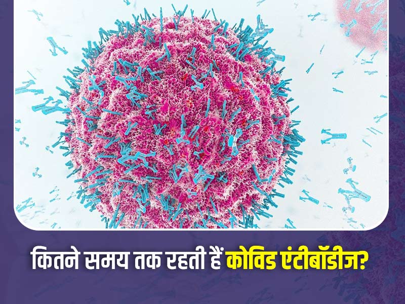 कोरोना से ठीक होने के बाद कितने समय तक शरीर में एक्टिव रहते हैं एंटीबॉडीज, जानें क्या कहती है नई रिसर्च