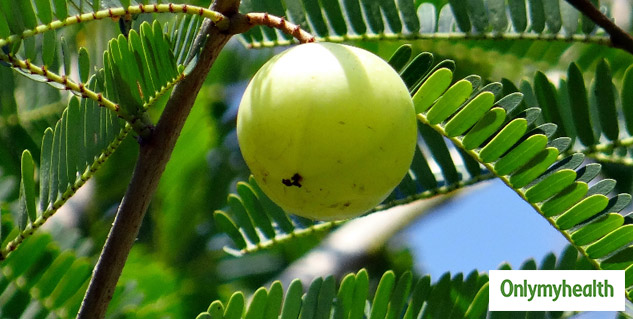 amla benefits