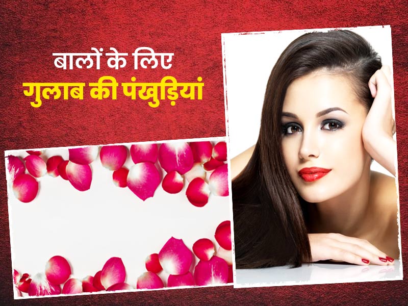 गुलाब की पंखुड़ियों से बनाएं ये 7 हेयर पैक, डर्मेटोलॉजिस्ट से जानें फायदे और प्रयोग का तरीका
