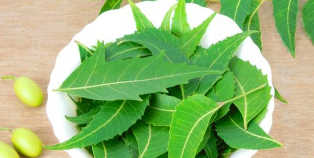 inside1_crackedheelshomeremedies