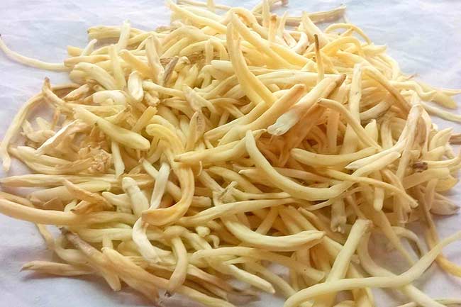 3. सफेद मूसली (White Musli)