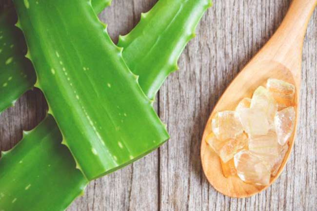 2) एलोवेरा जैल (Aloe Vera Gel)