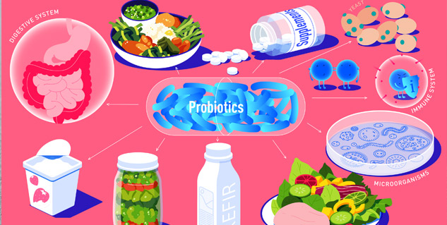 probiotics for gastritis