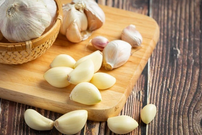 Garlic