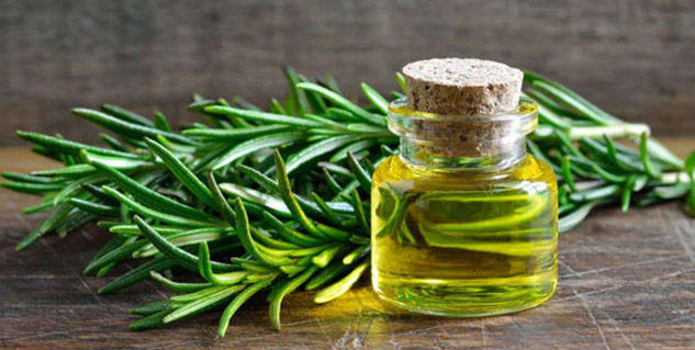 rosemary oil