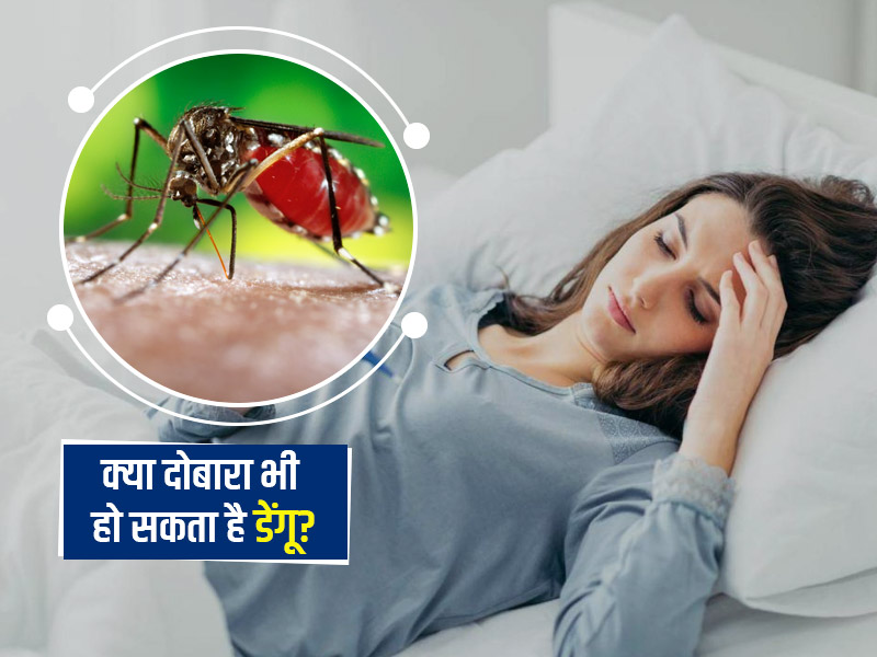 Can Dengue Happen Twice: क्या डेंगू दोबारा हो सकता है? जानें एक्सपर्ट से