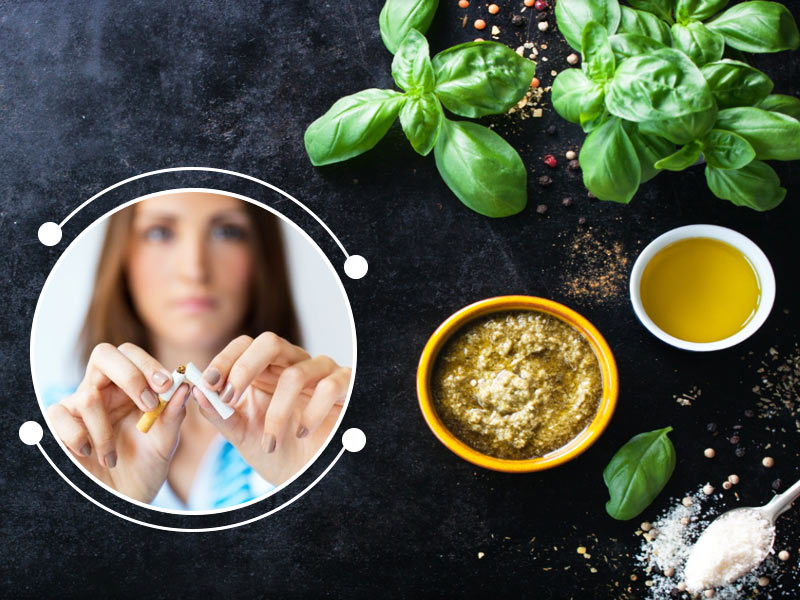सिगरेट और तंबाकू की लत से छुटकारा पाने के लिए इन तरीकों से करें तुलसी की पत्तियों का इस्तेमाल