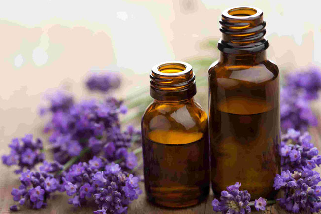 1. लैवेंडर का तेल (Lavender Oil Cure Migraine Pain)