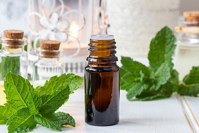 4. पेपरमिंट ऑयल (Peppermint Oil)