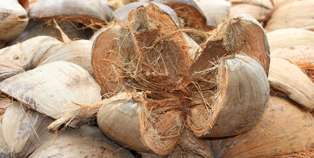 coconut husk method