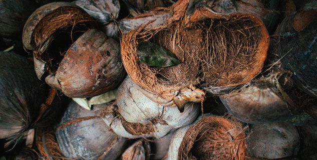 coconut husk