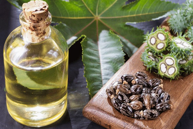 4. अरंडी का तेल (Castor Oil)
