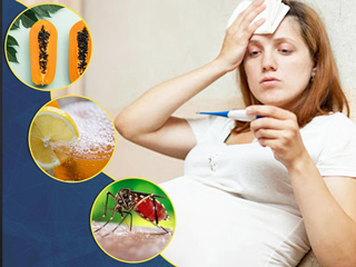 10 Home Remedies To Cure Dengue During Pregnancy