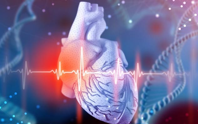 Cardio-Metabolic-Health-Prevention