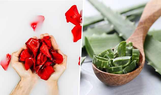 inside1aloeverandrosepetals