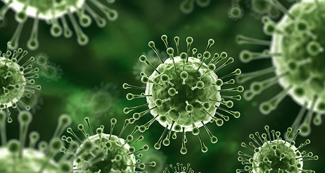 covid and nipah virus